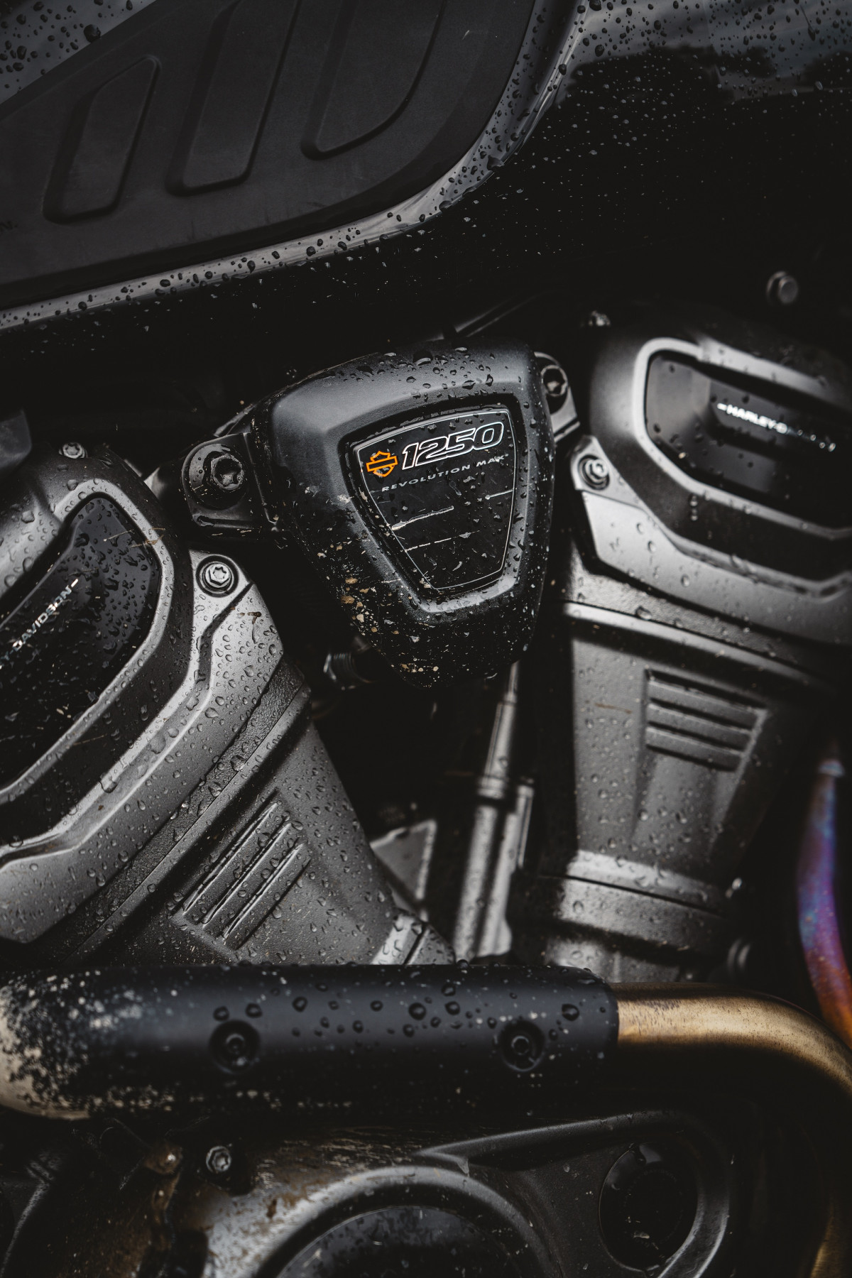 Off-Road Ready Pan America