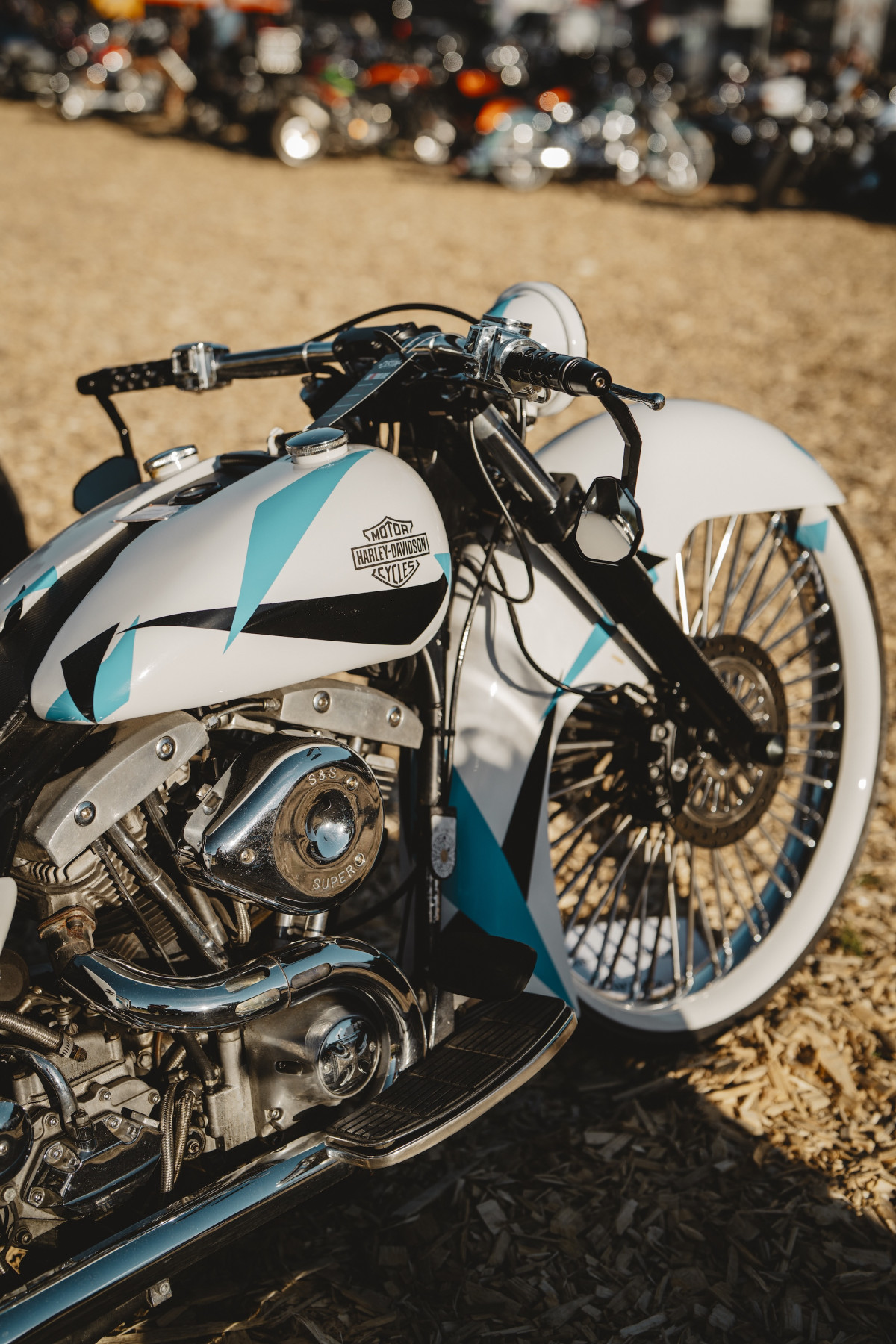 Custom FLH Electra Glide