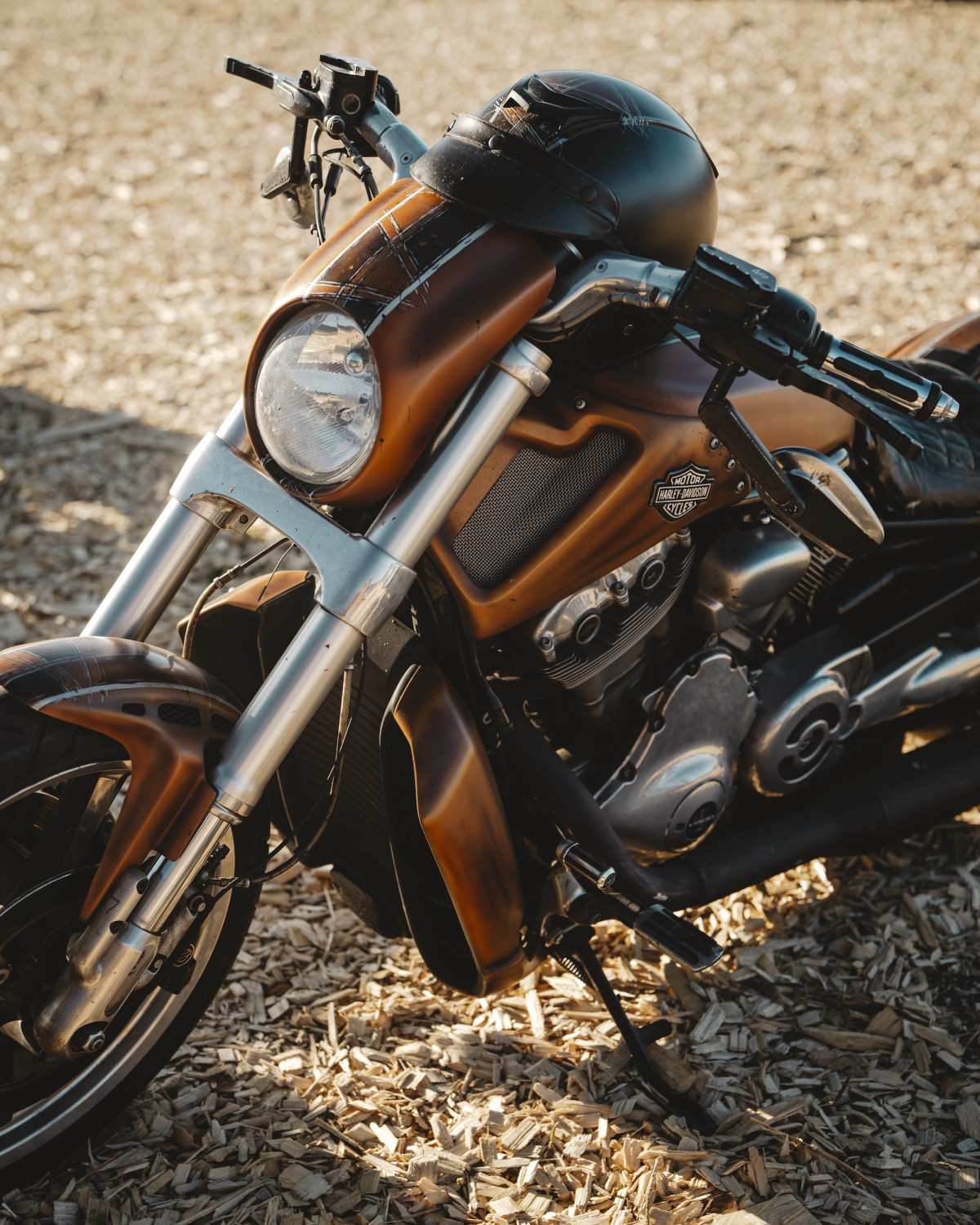 V-Rod Muscle sur mesure