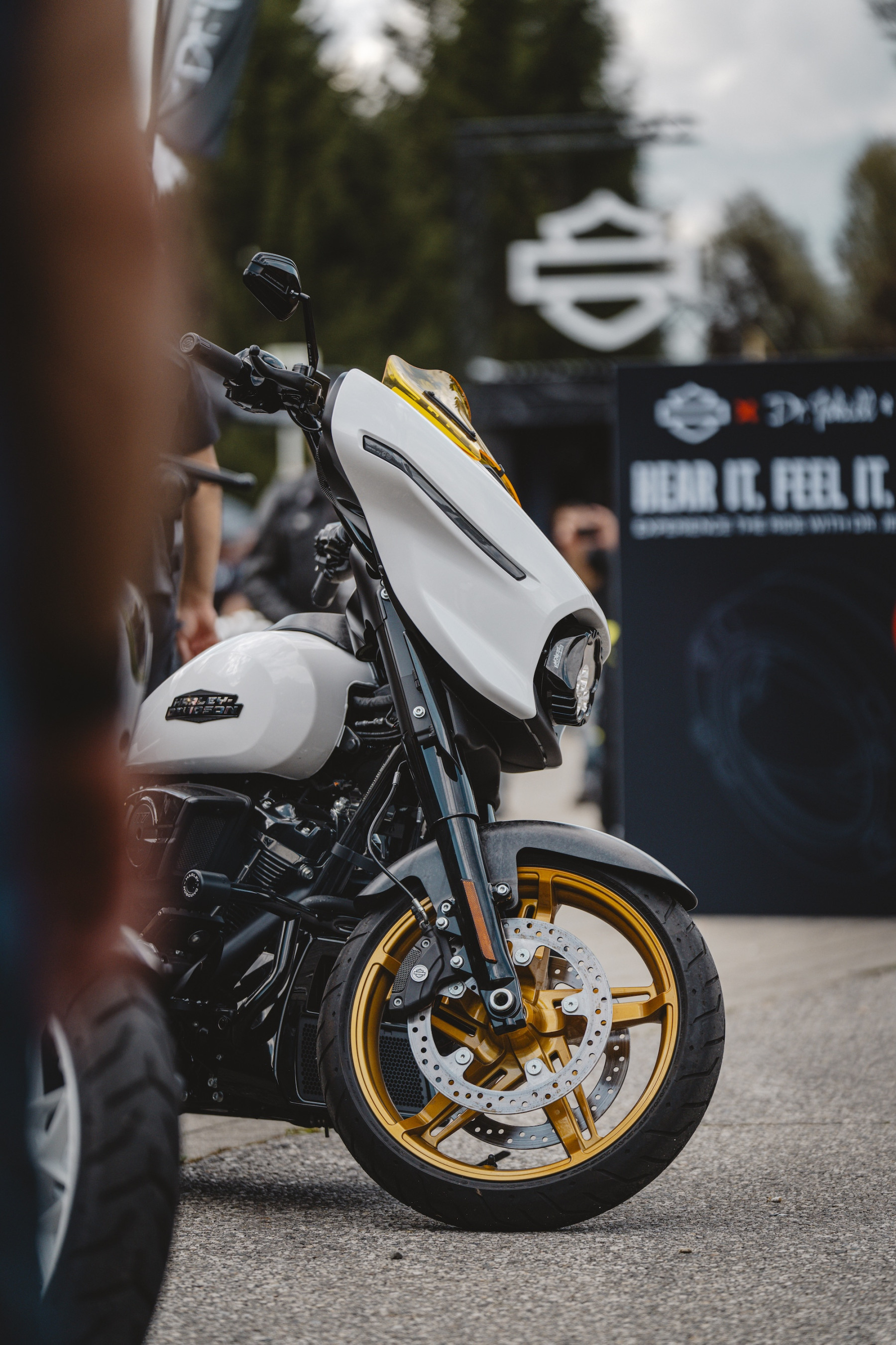White and Gold Low Rider ST