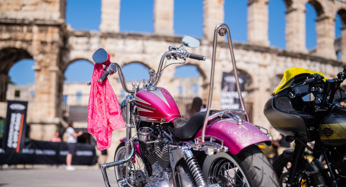 Custom Pink Sportster